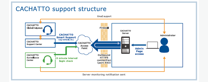 management structure